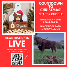 Load image into Gallery viewer, Highland Cow Christmas Countdown Craft & Cuddle at Black Rock Farm