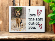 Load image into Gallery viewer, I Love The Shit Out of You Picture Frame
